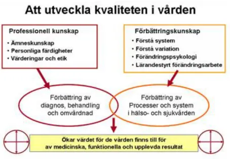 Figur 3. Modell utifrån Paul Bataldens teori om att utveckla värde och kvalité för dem som vården avses  för, (Region Jönköpings län, 2020c)