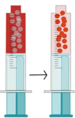 Figure 3. Loading doxorubicin (DOX) to DC bead ® . DOX is dissolved in ion-free  water and when the beads are added, it can be loaded into the beads