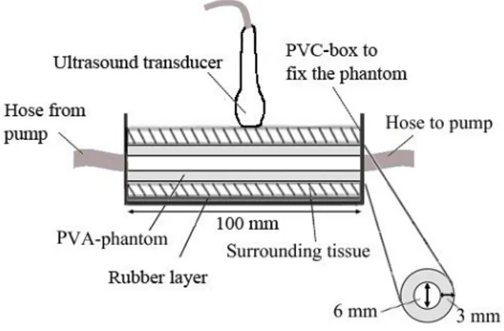 Fig.  1.  Schematic  illustration  of  the  experimental  setup  with  the  tissue  mimicking vessel phantom used for the CTR measurements.