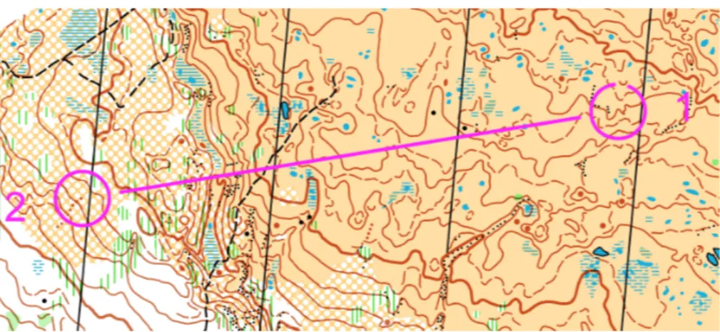 Figure 5: A very detailed orienteering map in alpine terrain.