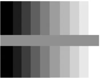 Figure 12: Example of how simultaneuos contrast affect the visual significance.