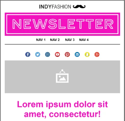 Figure 2.16  Email received on newsletter subscription 