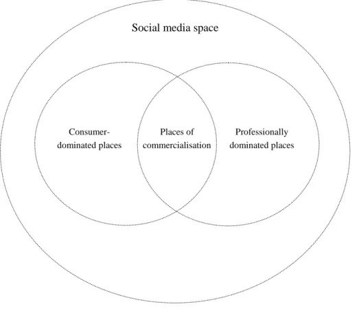 Figure 1. Landscape of dominant places in the social media space. 
