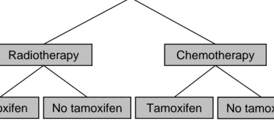 Figure 8. Randomisation of the patients into treatment groups.  