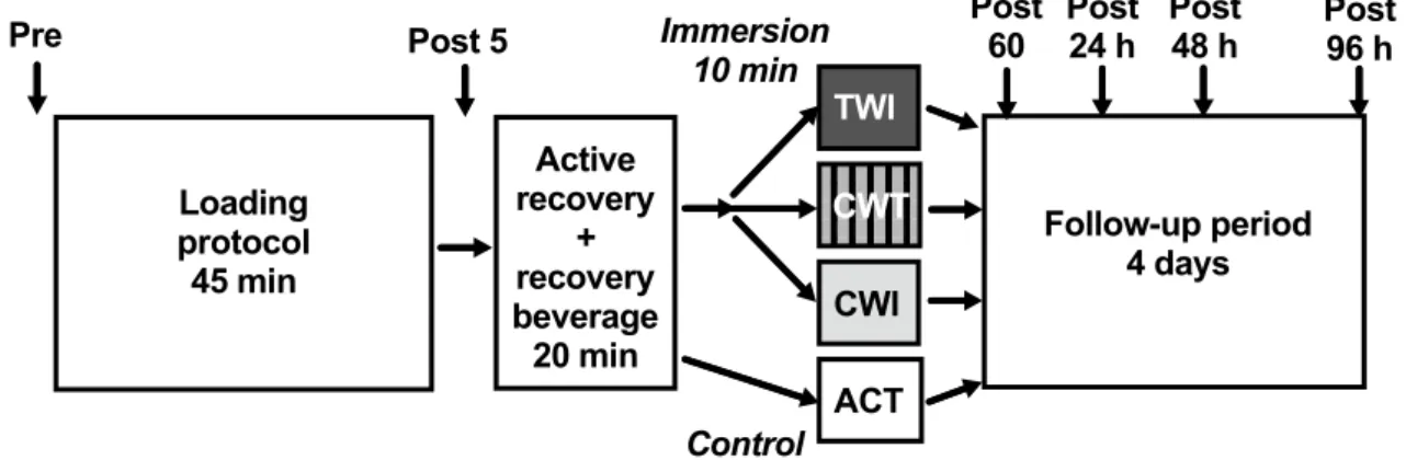 Fig. 1    Schematic of study design. Participants completed a standard- standard-ised loading protocol followed by an initial recovery protocol (active  recovery and recovery beverage)
