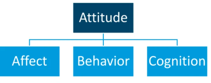 Figure 2.1: The construct of attitude 