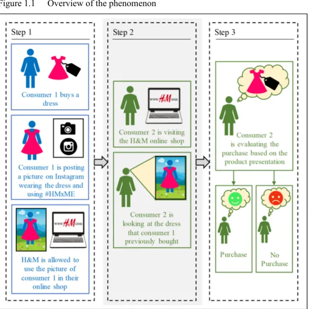 Figure 1.1  Overview of the phenomenon 