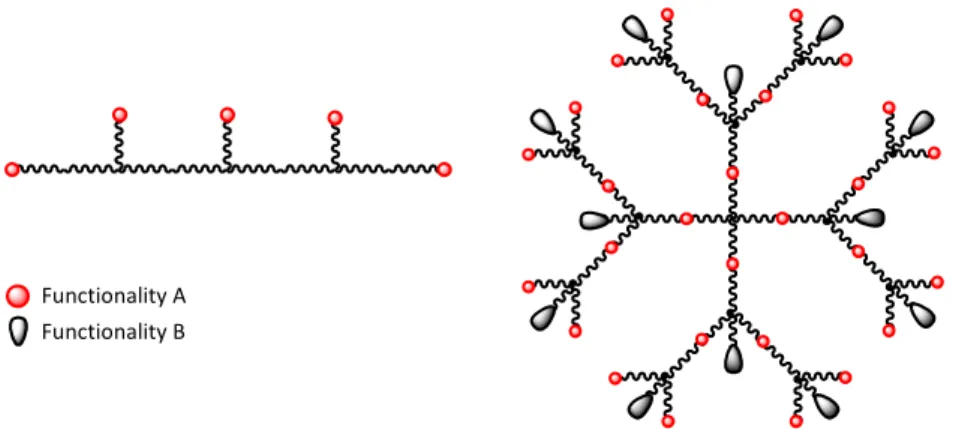 Figure  2:  Examples  of  two  PEG  architectures;  to  the  left  a  linear  backbone  with  pending  functional groups and to the right a 4-armed PEG dendrimer of second generation