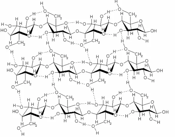 Figure 1: The structure of a cellulose sheet showing the intra- and interchain hydrogen  bonds