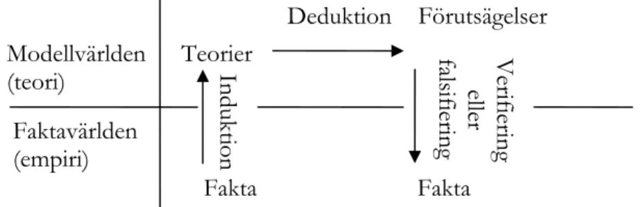 Figur 2: Vägar mot slutsatser   (Lundahl &amp; Skärvad, 1999:41) 