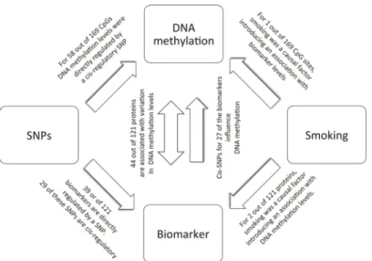 Fig 5. A directed acyclic graph of the causal inference. X and Y are two correlated phenotypes (the DNA methylation level at a CpG site and a biomarker level)