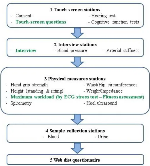 Figure 4: Different steps of assessments    