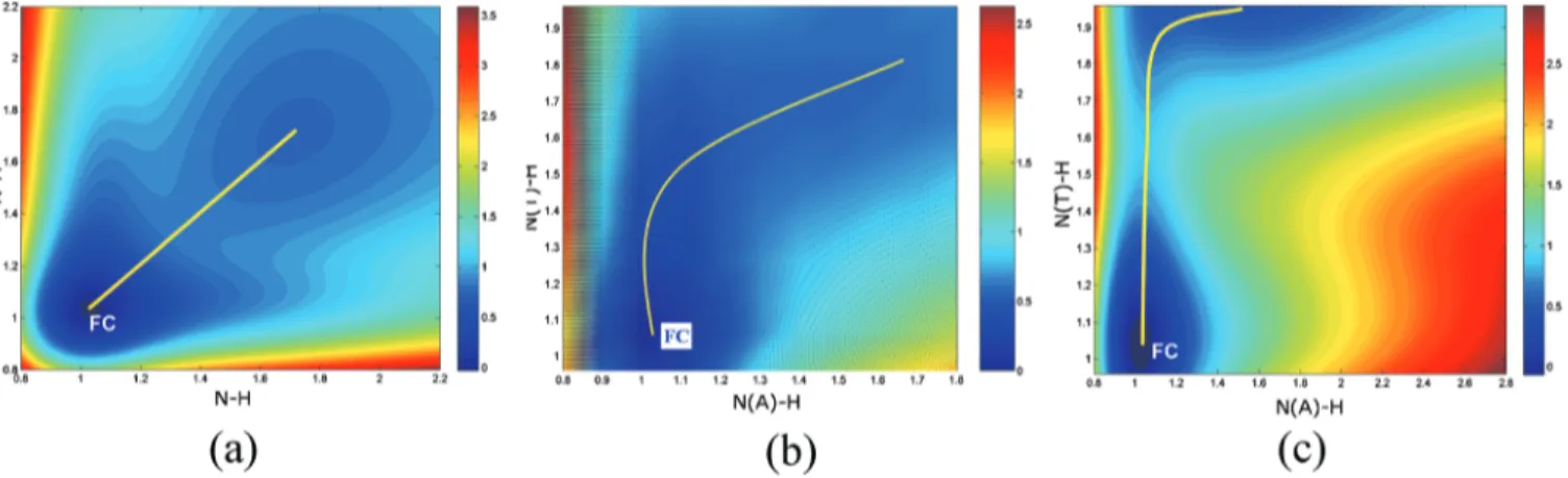 FIG. 2. Two-dimensional potential-energy surfaces of the ground state for 共a兲 2-AP dimer and for the A-T base pair 共b兲 with free and 共c兲 fixed N...N distance.