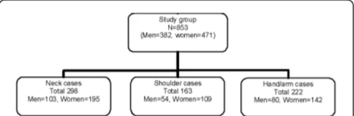Figure 1 Chart showing the study population, participants at baseline, and number of cases affecting the investigated body regions for men and women.