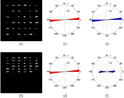 Figure 4.1: Orientation distributions for the CM method and the ST method of two test images