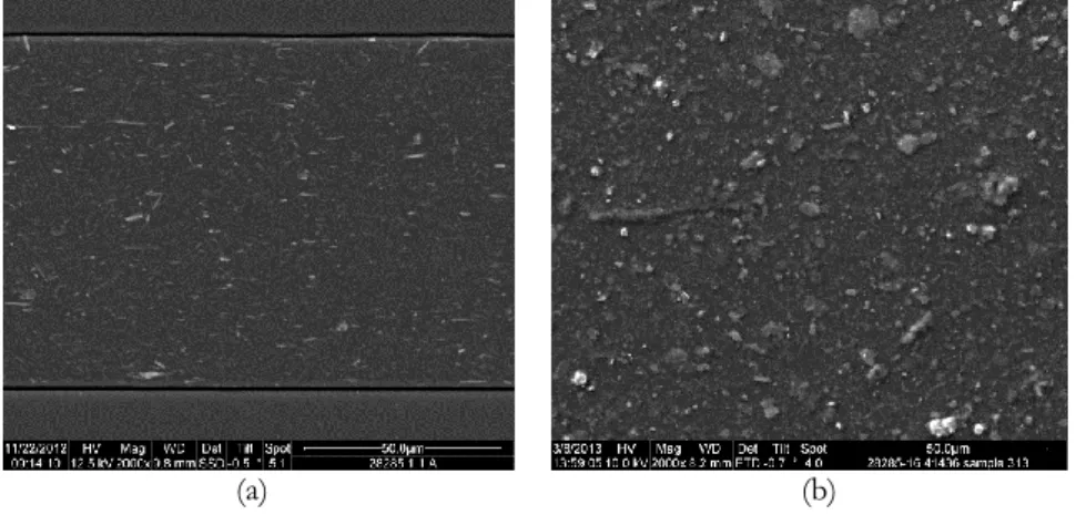 Figure 1.1: Images of dispersion barriers containing clay fillers taken with a Scanning Electron  Microscope