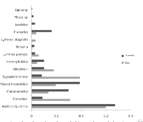 Figure 3. The proportion of total number of sampled invertebrates belonging to different taxa  in Chara and P