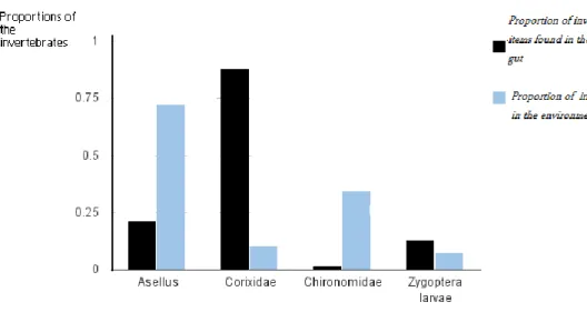 Figure 4. The proportion of individuals among the four most frequently found invertebrates in  the gut of Perch, the fish caught by the gillnet, and in the environment
