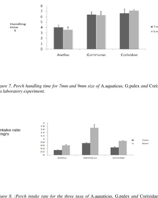 Figure 7. Perch handling time for 7mm and 9mm size of A.aquaticus, G.pulex and Corixidae  in a laboratory experiment