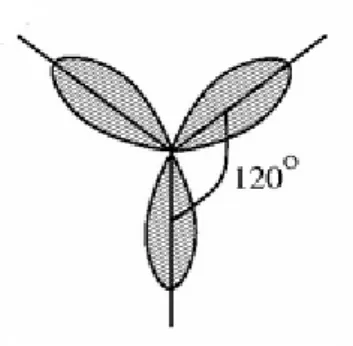 Figure 2.4: Schematic view of sp 2 hybridization. The angles between orbitals are 120 ◦ 