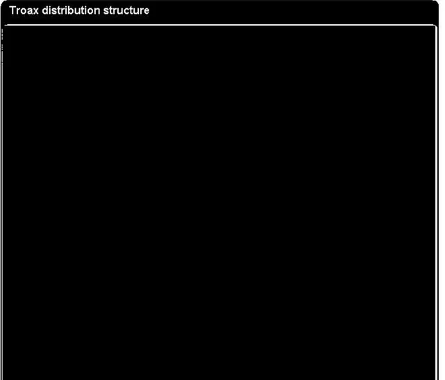 Figure 10 - Company A distribution structure 