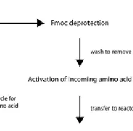 Figure 4.5 Overview of the steps involved in solid-phase synthesis of polypeptides. 