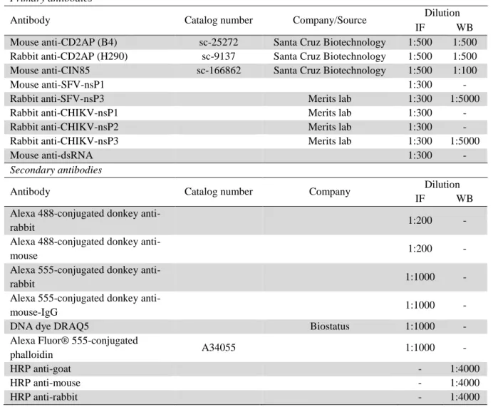 Table 1. Antibodies and dyes  Primary antibodies 