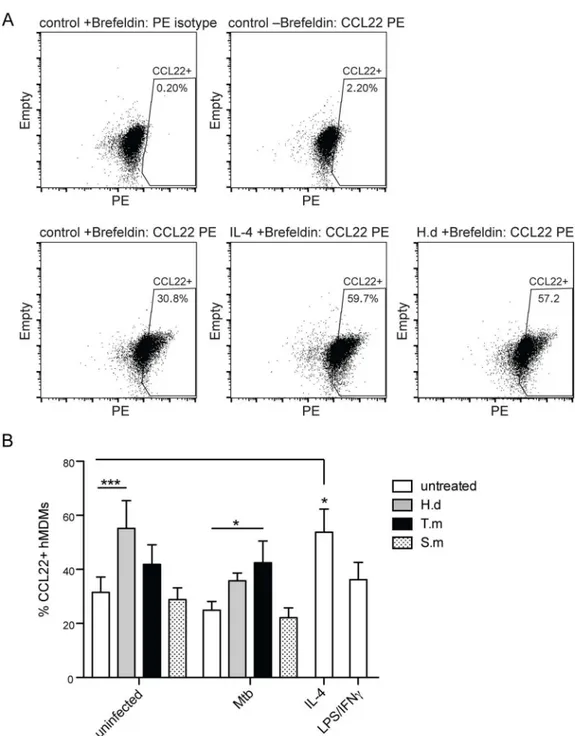 Fig 5. H. diminuta antigen and T. muris antigen co-exposure with Mtb stimulates increased CCL22 protein production in hMDMs