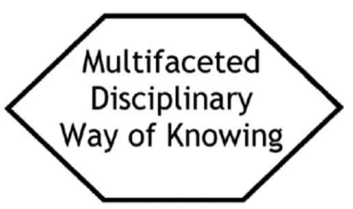 Figure 4.4. Disciplinary ways of knowing have multiple aspects or facets as they are  termed in this thesis