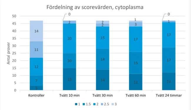 Figur 4: Fördelningen av exsudat (n=47) som fått respektive medelscorevärde med avseende på morfologin på cytoplasma och  cytoplasmamembran hos mesotelceller efter de olika tvättiderna