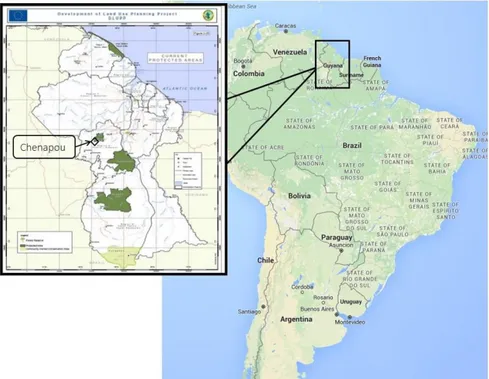 Figure 1. Map of Guyana in South America (google maps) and within that a map of the protected areas within Guyana and  Chenapou's location to that (GFC 2015)