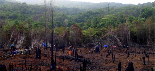 Figure  9.  Kayap  with  members  of  Chenapou  community,  here  we  are  ploughing  to  build  ‘banks’  in  the  farm  for  cassava planting (Airey 2016)