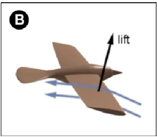 Figure 5: A) Twisting of the wing  , B) Shows the generation of lift and thrust during down  stroke