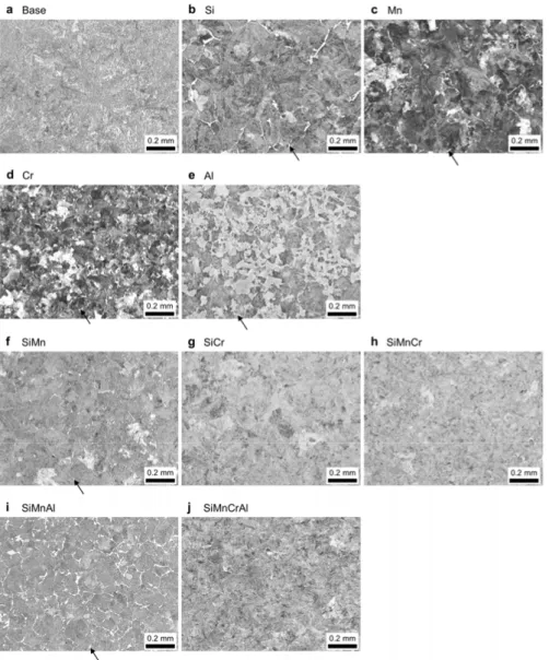 Figure 4. Microstructure of the steel work cylinders. All steels mainly contained a  fine pearlite microstructure