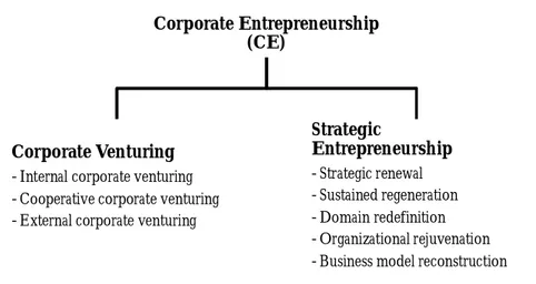 Figure 6: Defining corporate entrepreneurship (source: Kuratko, 2007) 