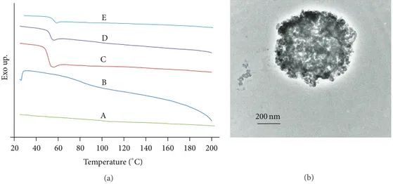 Figure 9: Miscibility evaluation of PLGA and chitosan in electrospun polyblend of PLGA/chitosan based on (a) DSC thermograms of (A) pure chitosan, (B) pure PVA, and electrospun mats of (C) PLGA, (D) PLGA/chitosan/PVA, and (E) PLGA/chitosan; and (b) TEM ima