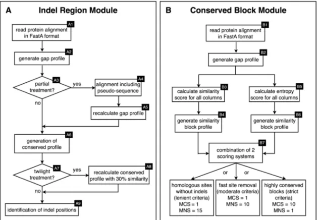 Figure 1. Work ﬂow for SeqFIRE, a user-friendly web application for automated identiﬁcation and extraction of indels and conserved blocks from MSAs