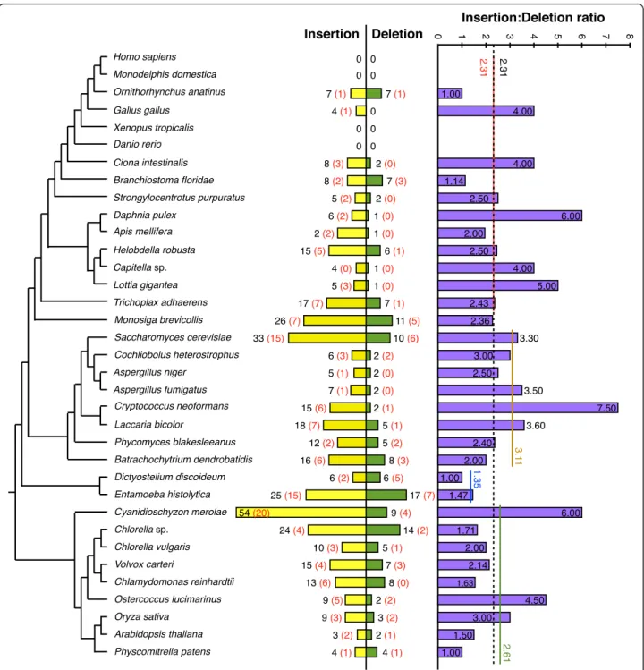 Figure 9 Phylogenetic profile of singleton insertions and deletions. The number of all (black) and 1aa (red) singleton insertions (yellow bars) and deletions (green bars) in universal orthologous proteins over 250 amino acids in length, are displayed on a 