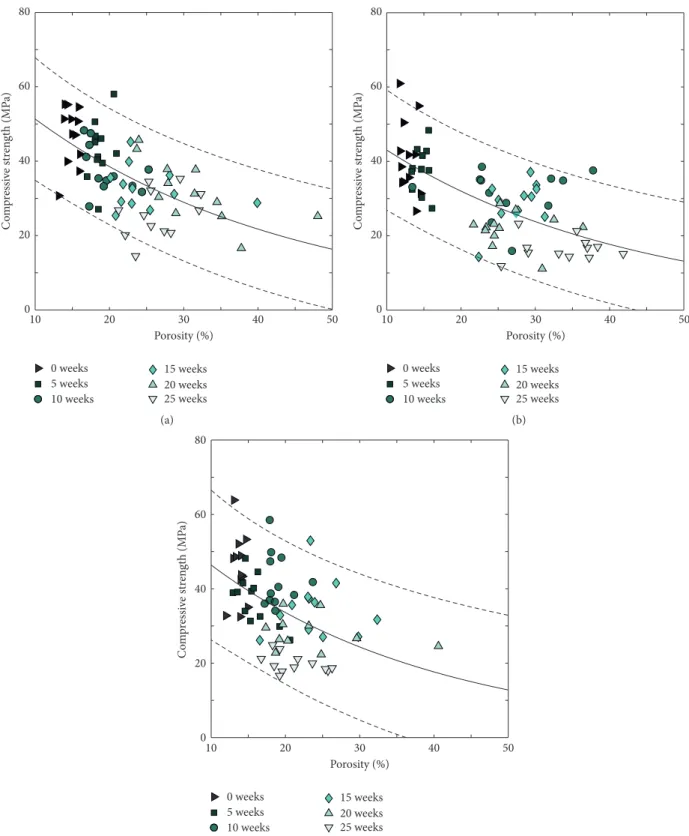 Figure 17: Correlation between compressive strength and porosity as evaluated by gravimetric analysis for specimens kept in (a) H 2 O, (b) PBS, and (c) serum solution (