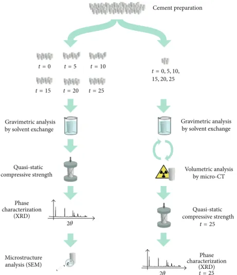 Figure 1: Schematic of the experimental setup. The experiments were repeated for specimens kept in three different degradation liquids: H 2 O, PBS, and serum solution.