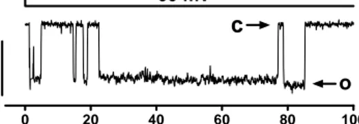 Figure 5. A typical large square-like current trace at –60 mV, O denotes open and C denotes closed states  