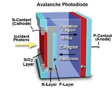 Figure 2.2 An avalanche photodiode 