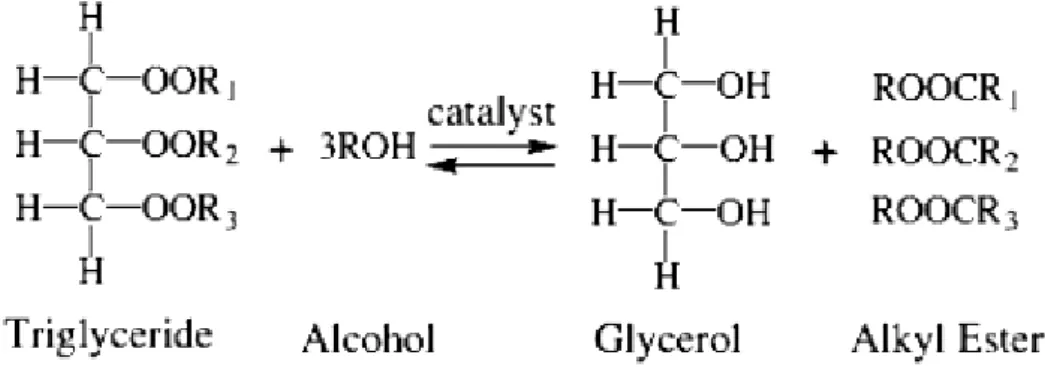 Figur 2 Mekanismen för den basiskt katalyserade transesterifieringen (Kouzu, Kasuno, Tajika, Sugimoto, Yamanaka, &amp; 