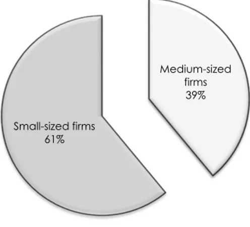 Figure 2. Small- vs. Medium-Sized Firms (%)