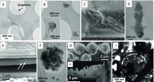 Figure 1: Electron microscopy images of light elements and soft matter materials. 