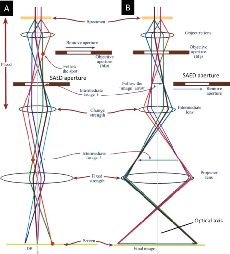 Figure 4. A schematic illustration of different electron beams along with lenses and  apertures in the TEM to perform ED (A) and imaging (B)
