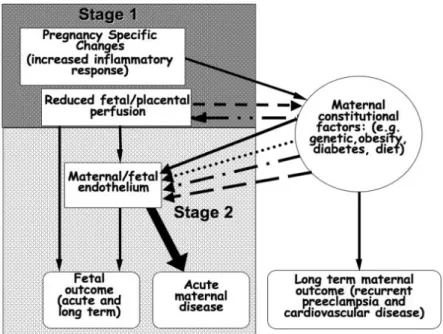 Figure  1.  Maternal  fetal  interactions  in  the  pathogenesis  of  pre-eclampsia.  From  Roberts,  JM