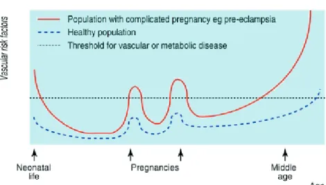 Figure 2. Risk factors for vascular disease are identifiable during excursions into the  metabolic syndrome of pregnancy