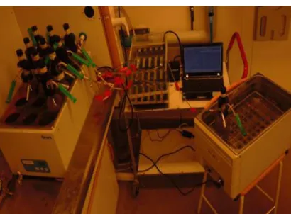 Figure 3.3.  Experimental setup for investigating the effect of membrane-encapsulated cells                        on fermentative hydrogen production from inhibitory-fruit flavour medium (Paper IV)  