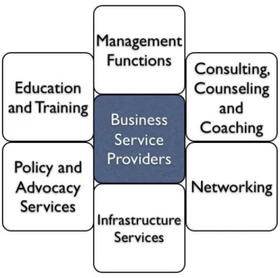 Figure 3- Model for B.S.P. Services 